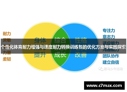 个性化体育耐力增强与速度耐力转换训练包的优化方案与实践探索